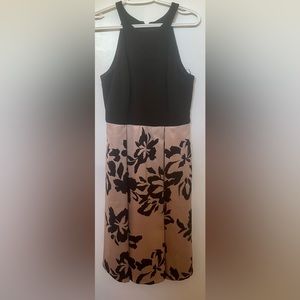 Fit & Flare Knee Length Dress